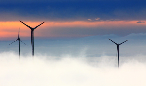 Wind Fog