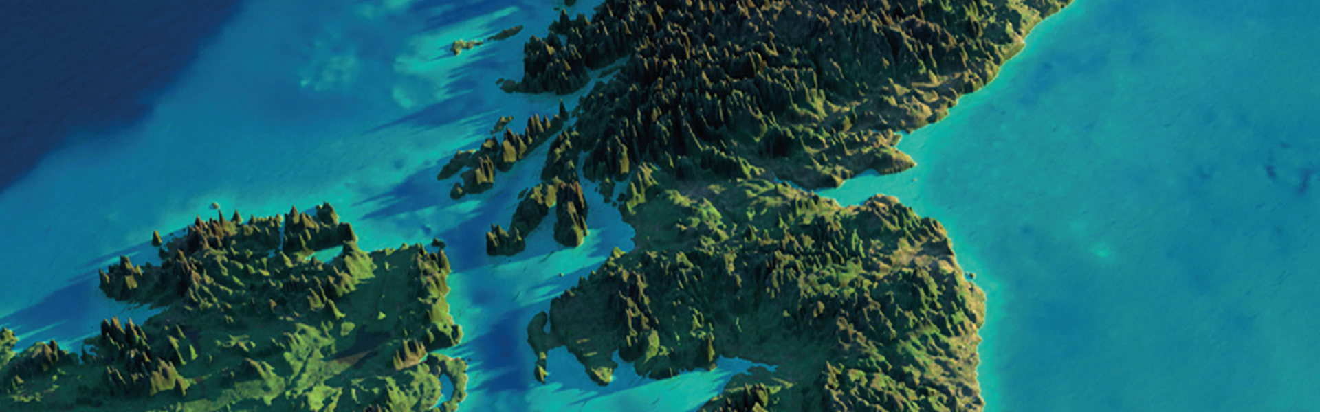 About us header