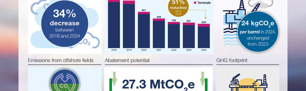 Infographic Emr 1 (1)