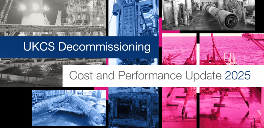 Decom Report 2025 Image