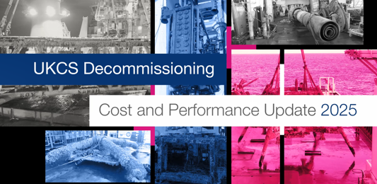 Decom Report 2025 Image